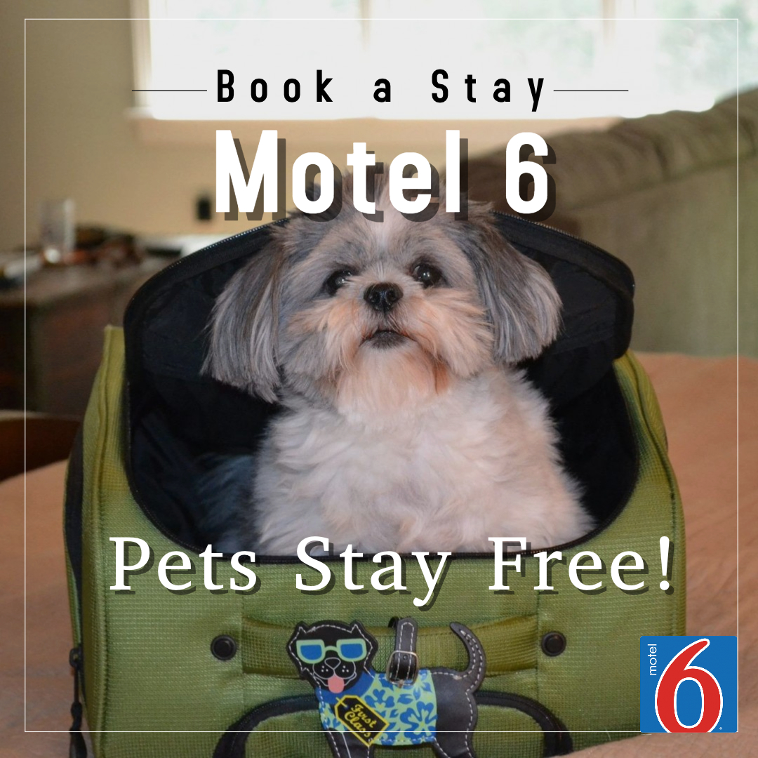 Book a Pet Friendly Motel 6